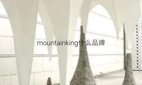 mountainking什么品牌(mountain什么牌子衣服)