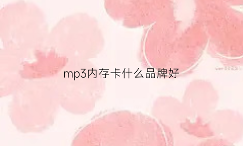 mp3内存卡什么品牌好(mp3的内存卡在哪里有卖)