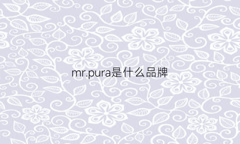 mrpura是什么品牌(mrhippies是什么品牌)