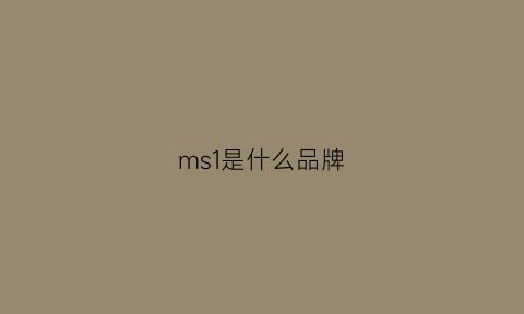 ms1是什么品牌(ms1是什么品牌的电器)