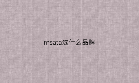 msata选什么品牌(msatassd哪个好)