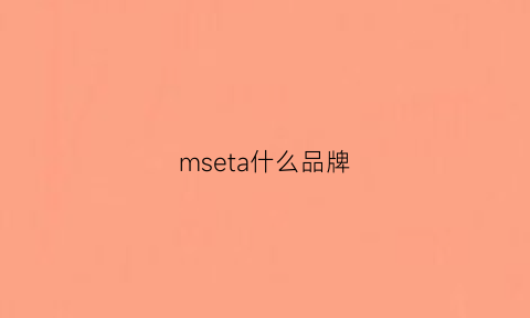 mseta什么品牌(ms是什么品牌)