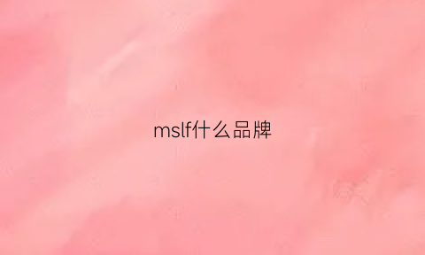 mslf什么品牌(ms是什么品牌)