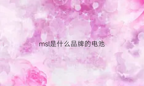 msl是什么品牌的电池(marsell是什么牌子电池)