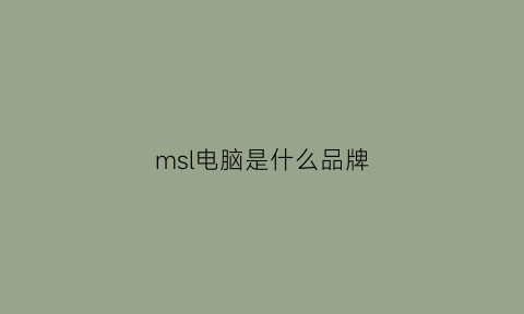 msl电脑是什么品牌(maxisys是什么电脑)