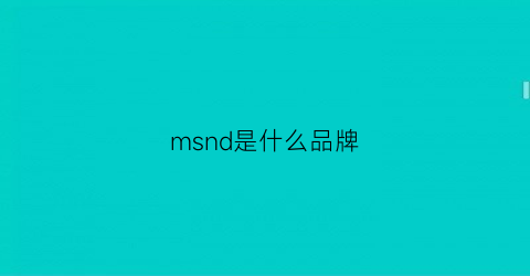 msnd是什么品牌(msn是什么鞋)