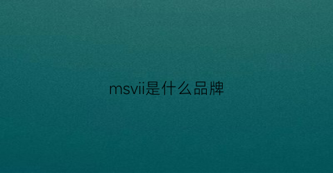 msvii是什么品牌(vism是什么牌子)