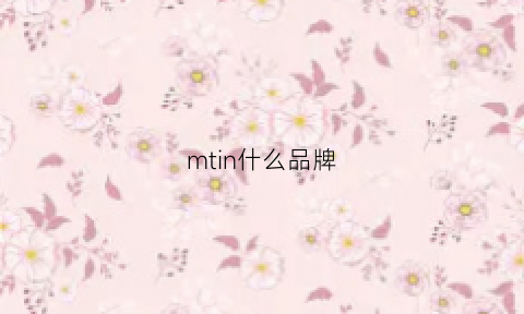 mtin什么品牌(mt·mit品牌)