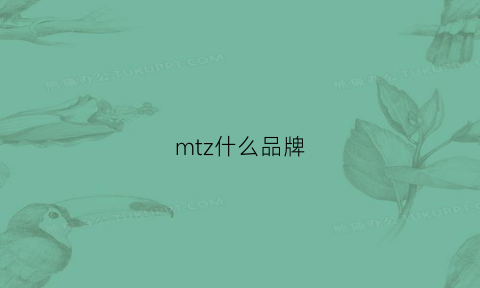 mtz什么品牌(mt什么牌子的衣服)