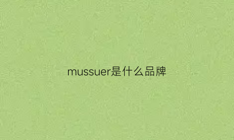 mussuer是什么品牌(musso是什么牌子)