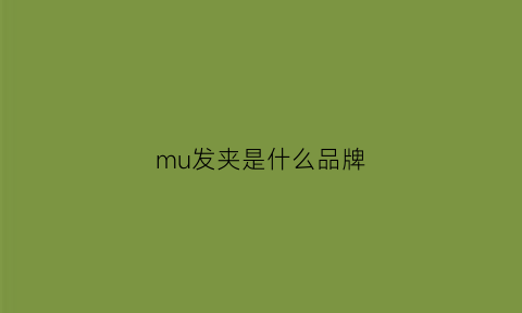 mu发夹是什么品牌(十大知名发夹品牌)