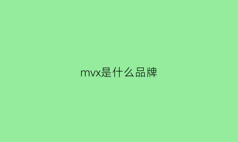 mvx是什么品牌(mv是什么品牌男装)