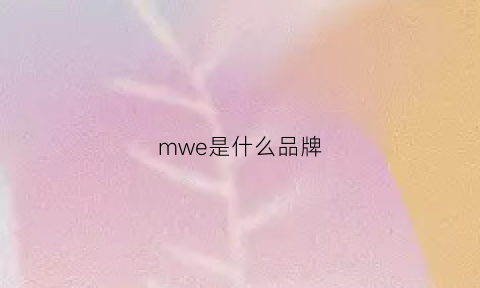 mwe是什么品牌(mwl是什么牌子)