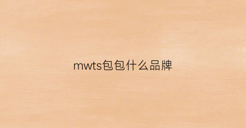 mwts包包什么品牌(mk是什么牌子的)
