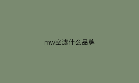 mw空滤什么品牌