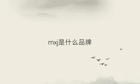 mxj是什么品牌(mxjm是什么牌子)