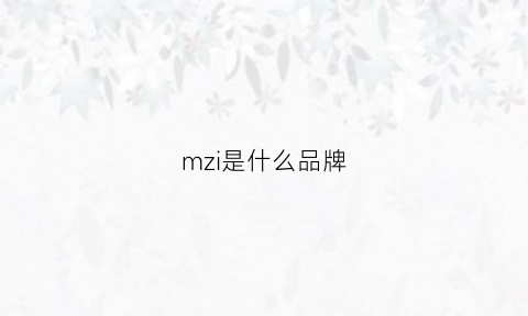 mzi是什么品牌(mzn是什么品牌)