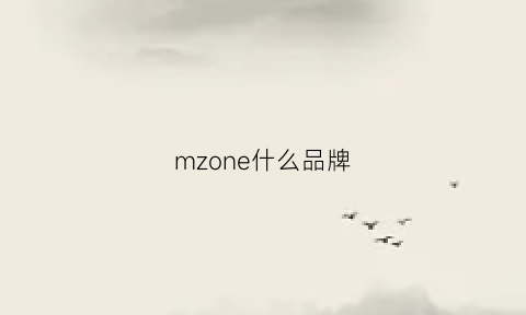 mzone什么品牌(mzone)