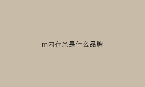 m内存条是什么品牌