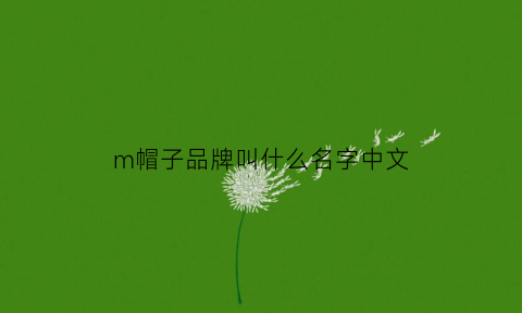 m帽子品牌叫什么名字中文(m的帽子)