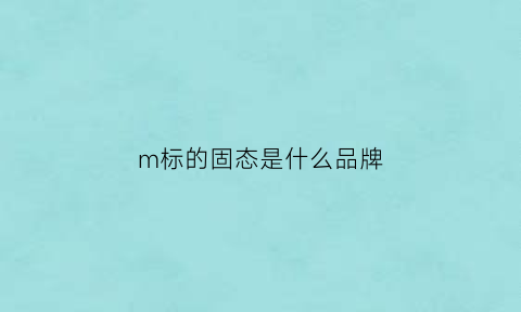 m标的固态是什么品牌