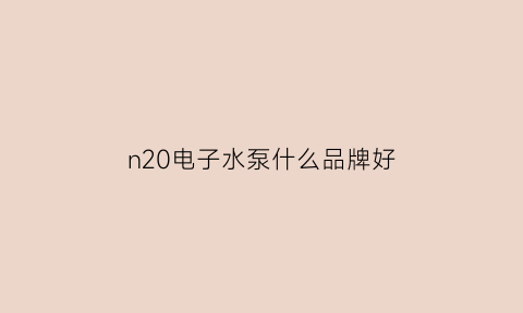 n20电子水泵什么品牌好(n55电子水泵怎么拿出来)