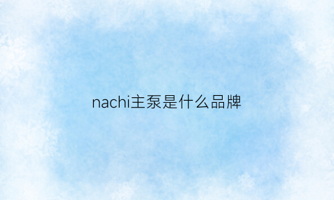 nachi主泵是什么品牌(na+泵)