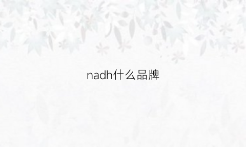 nadh什么品牌(na是什么品牌)