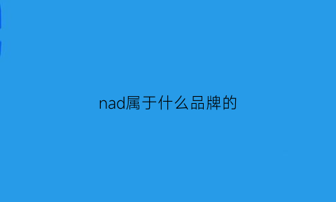 nad属于什么品牌的(nadi是什么牌子)