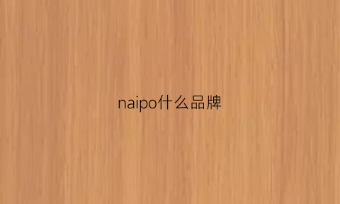 naipo什么品牌(nau品牌)