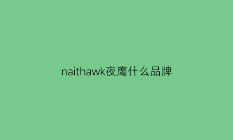 naithawk夜鹰什么品牌(nighthawk夜鹰系列)