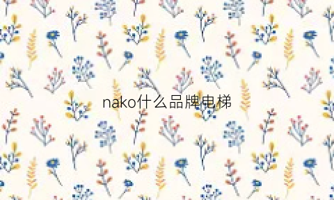 nako什么品牌电梯(koni电梯)