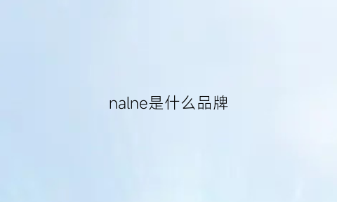 nalne是什么品牌(na+是什么品牌)