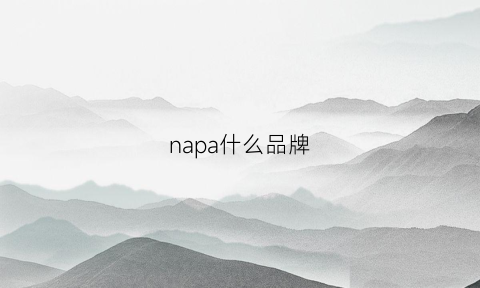 napa什么品牌(napapljrl什么牌子)