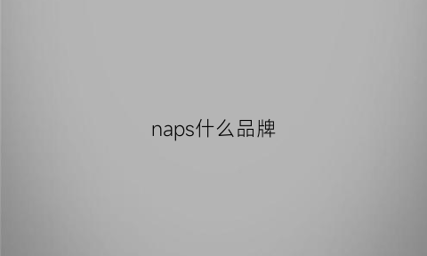 naps什么品牌(napu是什么牌子)