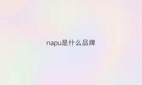 napu是什么品牌(nape是什么牌子)