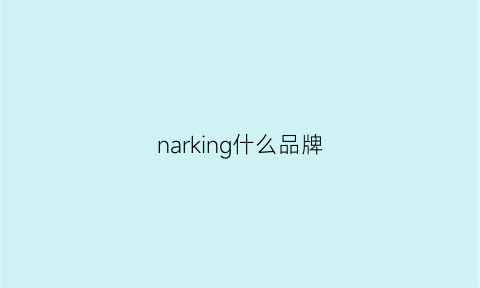 narking什么品牌(nake是哪个国家的品牌)