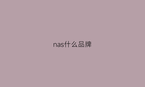 nas什么品牌(nas品牌排名)