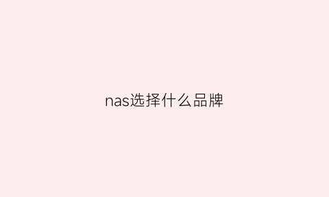 nas选择什么品牌(nas选择什么品牌的好)