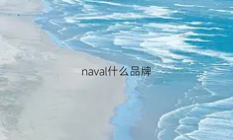 naval什么品牌(naval是什么车)