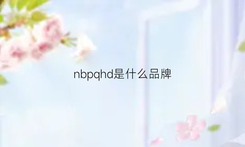 nbpqhd是什么品牌(nbllp是什么品牌)