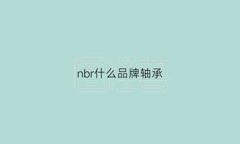 nbr什么品牌轴承(nb轴承是什么牌子)