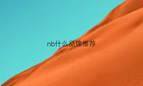 nb什么品牌推荐