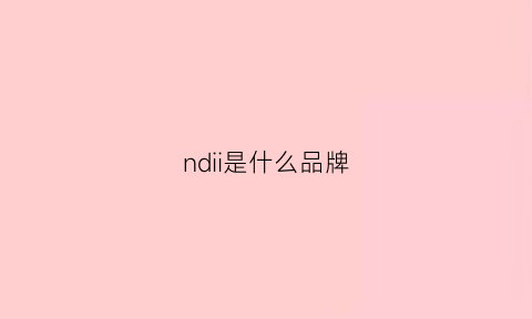 ndii是什么品牌(nydj是什么品牌)