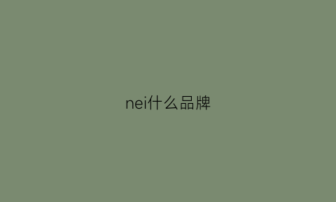 nei什么品牌(ne什么牌子)