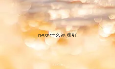 ness什么品牌好(nes是什么品牌)