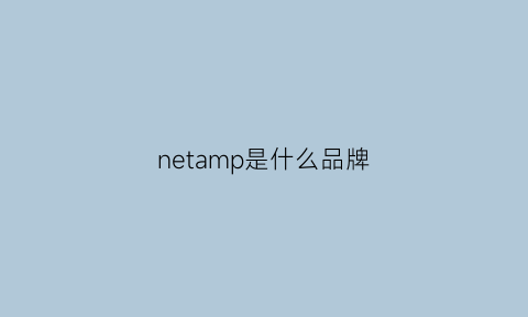 netamp是什么品牌