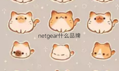 netgear什么品牌(net gear)