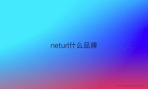 neturl什么品牌(url是什么网站)