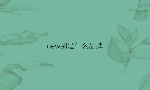 newall是什么品牌(challnew是什么牌子)